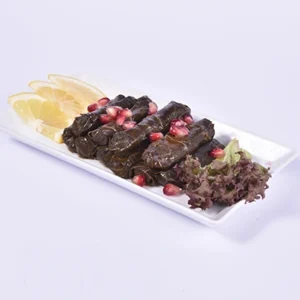 An appetizing platter of traditional stuffed grape leaves (Dolma) rolled and arranged neatly, garnished with lemon slices and red pomegranate seeds on a white rectangular plate.