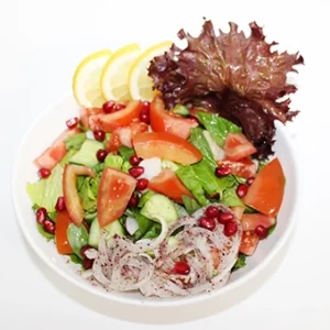 A vibrant Fattoush salad in a white bowl featuring crisp lettuce, juicy tomatoes, red onion strips, red pomegranate seeds, crispy purple leaves, and lemon slices on a white background.