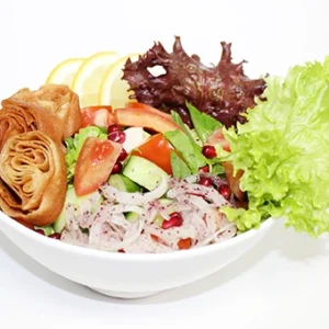 A vibrant Fattoush salad in a white bowl featuring crisp green and red lettuce, tomatoes, onion strips, golden fried pita shards, pomegranate seeds, and lemon slices.