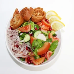 A traditional fattoush salad in a white bowl featuring fresh green and red lettuce, tomatoes, cucumber, crispy pita rolls, pomegranate seeds, and lemon slices.