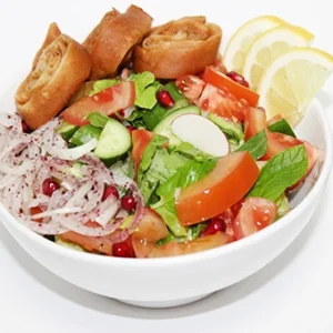 A traditional fattoush salad in a white bowl featuring fresh green and red lettuce, tomatoes, cucumber, crispy pita rolls, pomegranate seeds, and lemon slices.