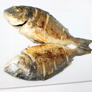 A whole grilled Dorado fish with golden-brown skin and flaky white flesh, served on a white square plate.